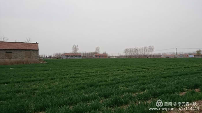 1520236187106929.jpg 村庄已变成麦田.jpg